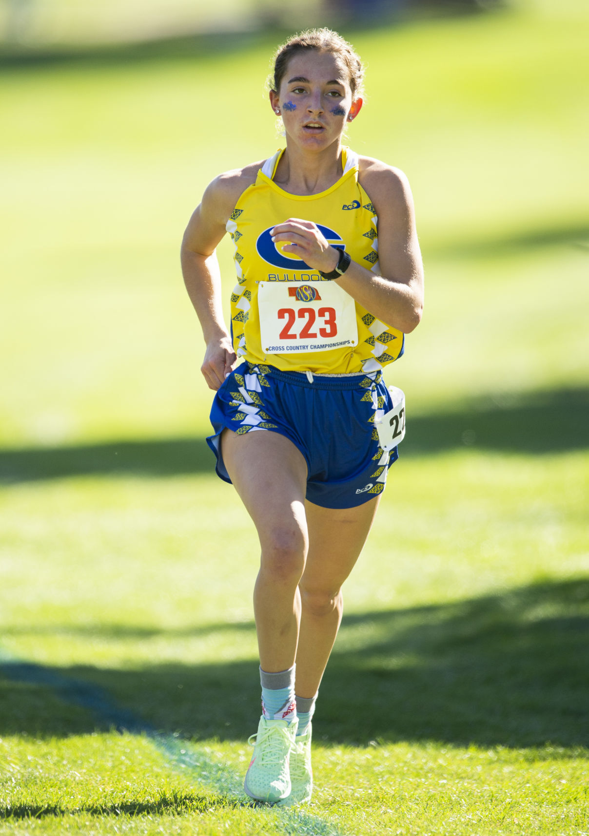 State Cross Country, 10.22